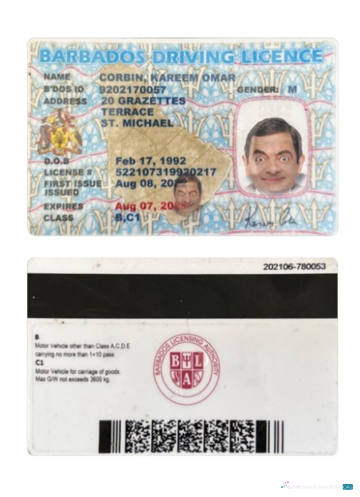 download Barbados driving license